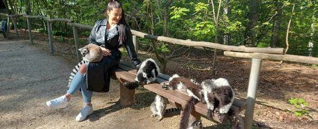 katzmin star naked img