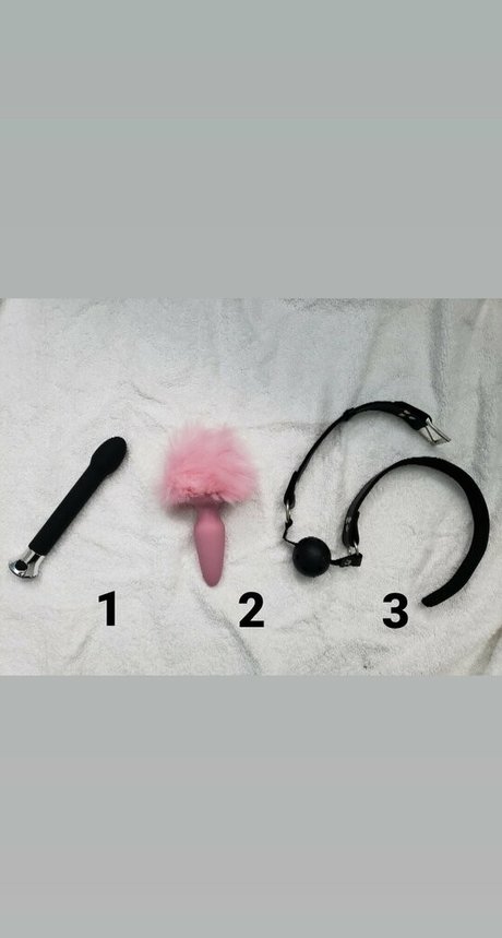 naughty salamander pornstar xxx pics