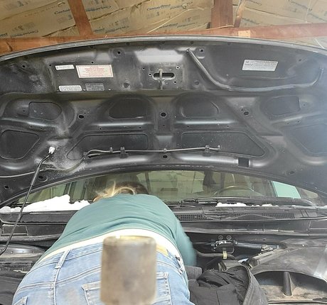 ameliab13 free model archive