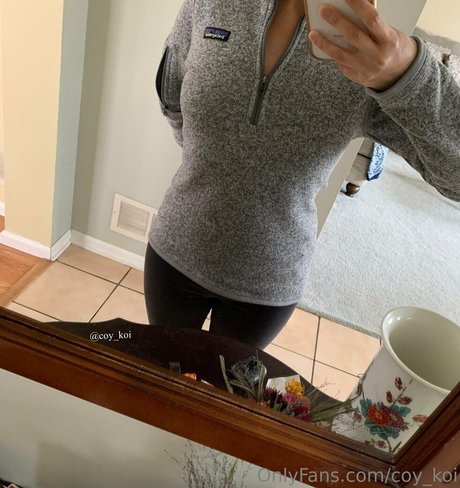 coy koi star free picture