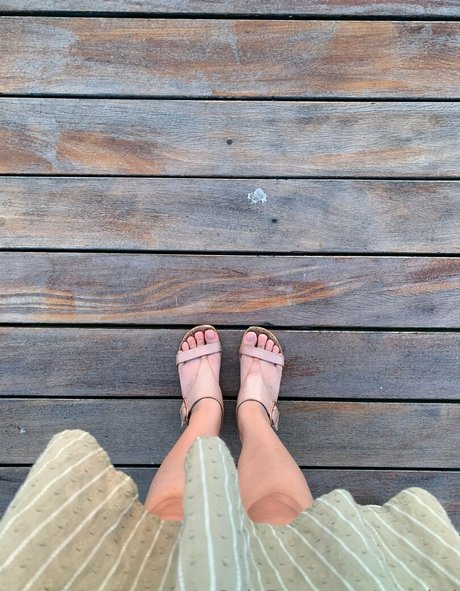 coy koi nice model picture