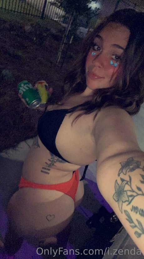 i zenda model top img