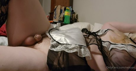 nekoarc high quality model img