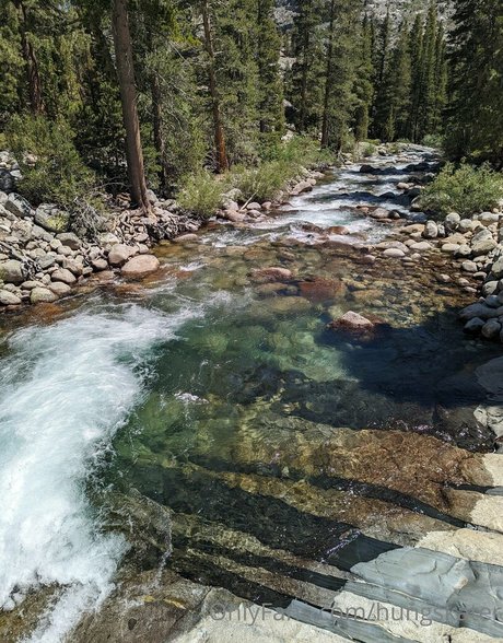 hungskater naked star pics