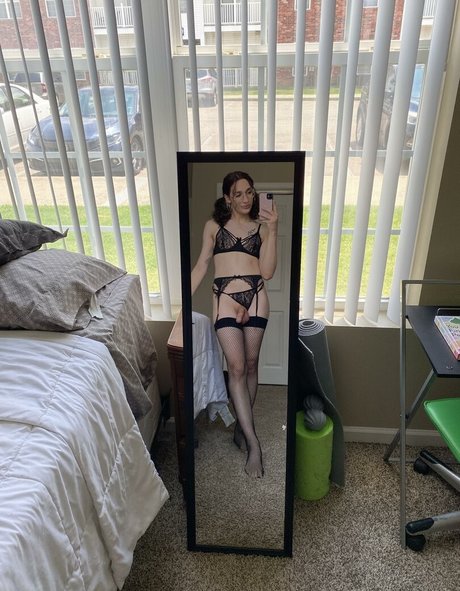 Taylor Hamilton art star images