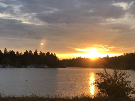 Nova Soul star pornographic archive