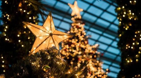 TupincheDiosa hot star pic