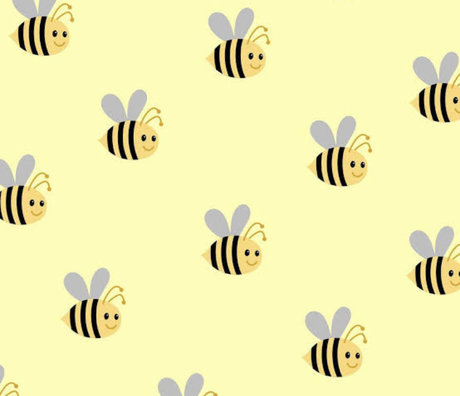 North Diamond star hot photo