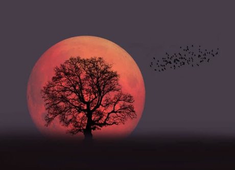 Your Favourite Pagan pornstar nudes photo