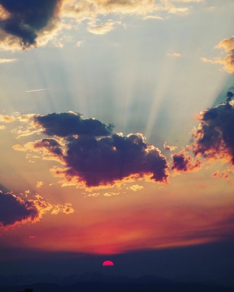 NO FACE NO TRACE best star pics