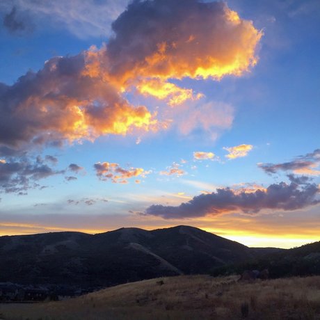 Alexander Mecum art actress image