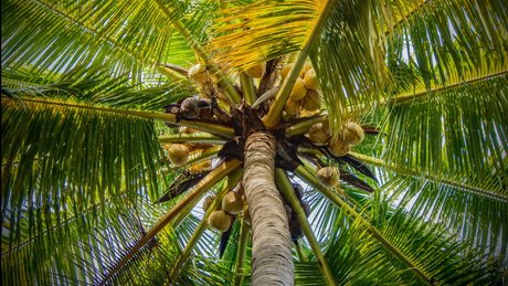 Eros Mezzanotte best model pictures