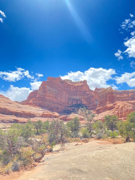 Adventure Soles star pretty pic