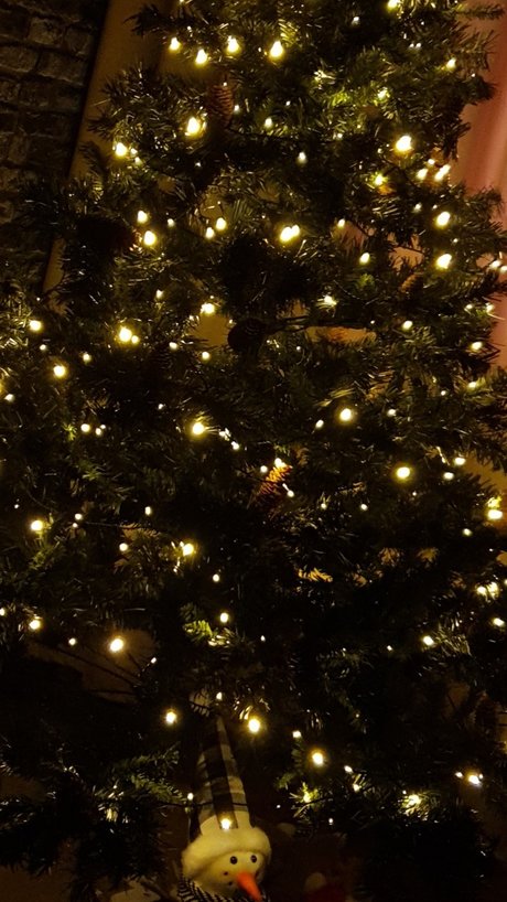 Alexandr Zolotov nude star gallery