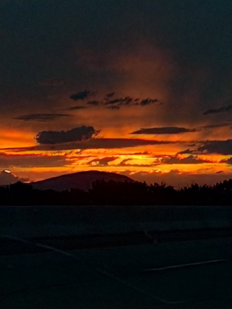 u9100536 pornstar xxx archive