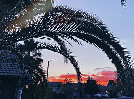 Newdsconnoisseurs perfect actress photo