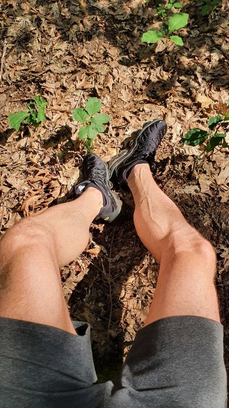 Alpha D xxx actress pictures