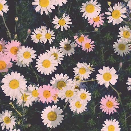 Ally Aimes_ high quality actress archive