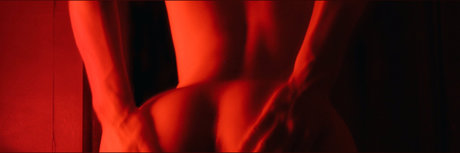 A L E S S O star exclusive image