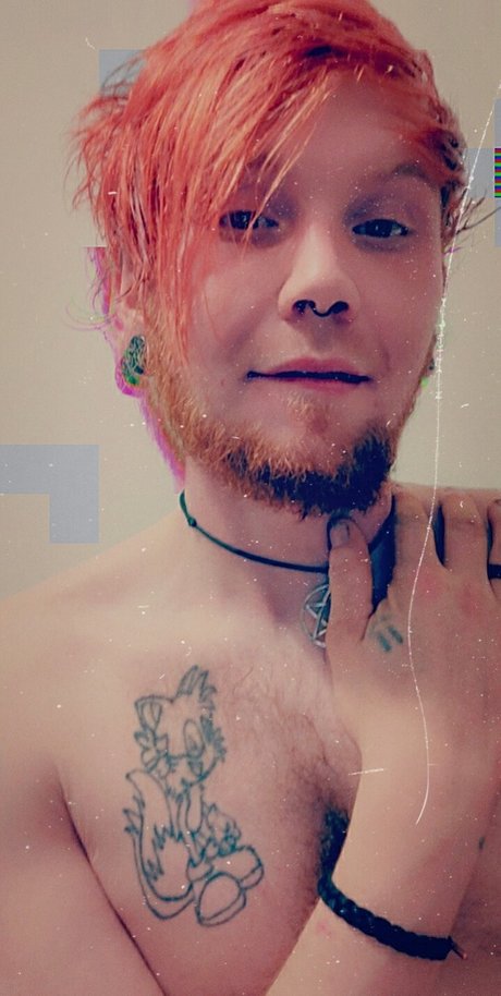 Stevie Lee star images