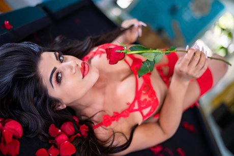 Oh em giiii pornographic star img