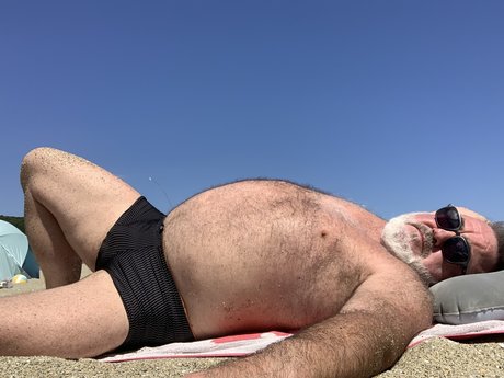 Silver bear star top image