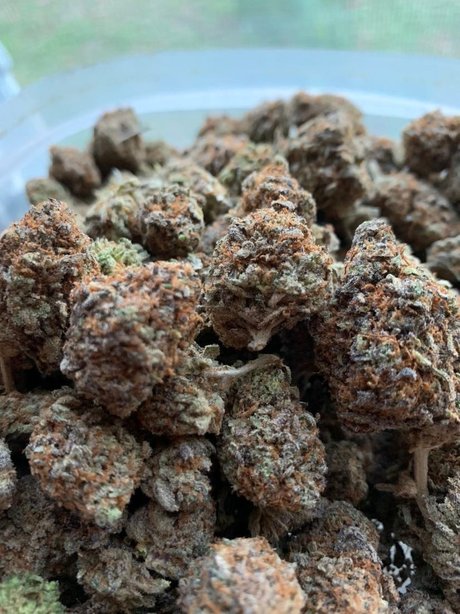 OgMack23 sex pornstar picture