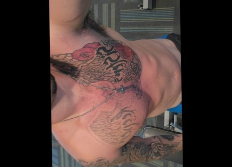 Official Shane Whitlow art star archive