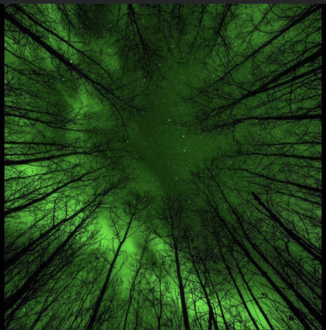 Ocean Irving free model images