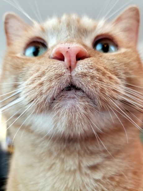 onlytabs model pornographic pictures