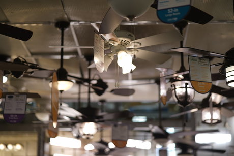 Austin Zeli sex actress images