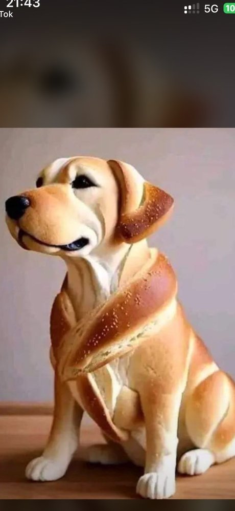 Only hd pornstar photos