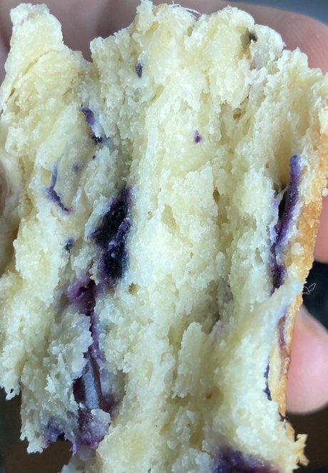 Only Pans naked pornstar image