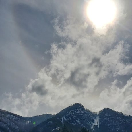 LilloneWolfy adult star pic