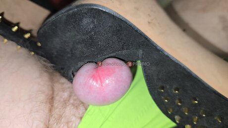 One Sweet One_ star best galleries