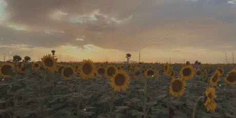 Omnipotentjade porn actress pics