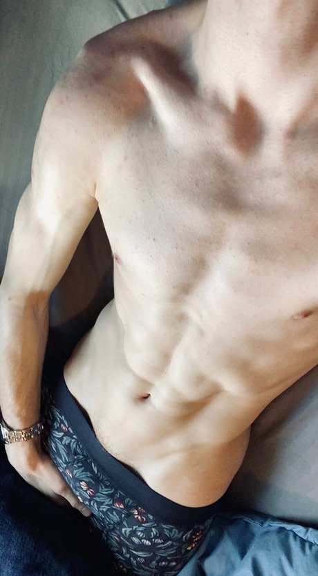 Aaron Leiman model perfect galleries