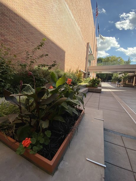 Aaron Leiman pornstar adult pic