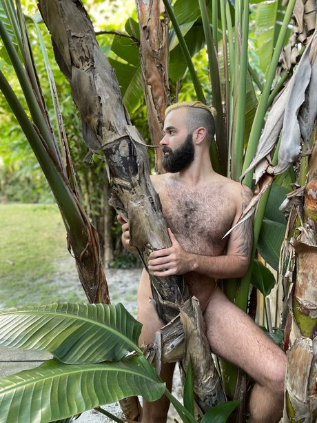 Abe Monroe star adult archive