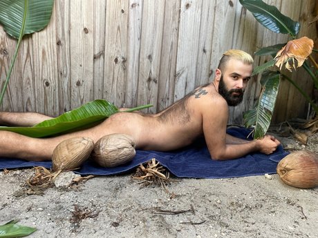 Abe Monroe pornstar beautiful img