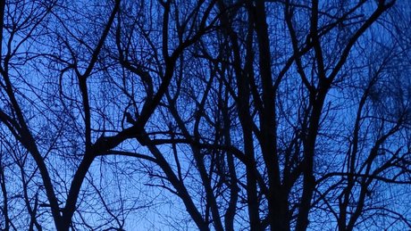 abiiighoul high quality actress photos