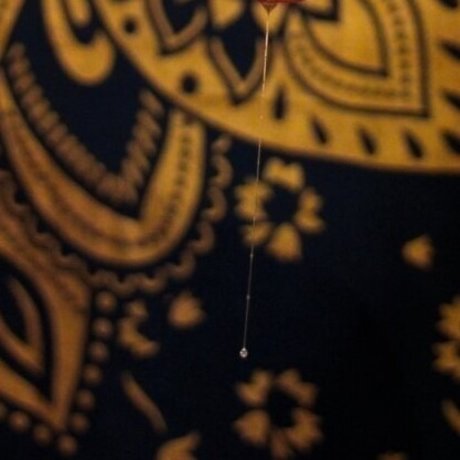 Acceptable Pervert pornstar nice pic