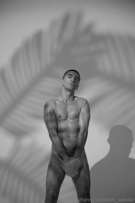 Alek Sandar art pornstar pic