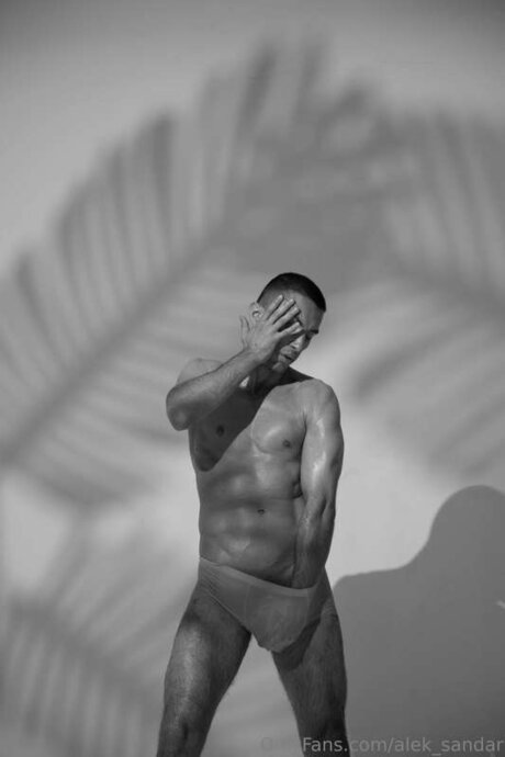 Alek Sandar best star galleries