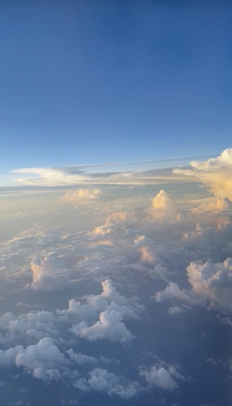 Alexandra Gomez top actress pictures