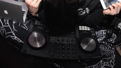 Ashmead Stopher star adult images