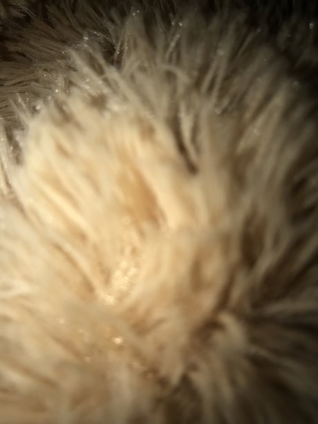 Dany9111 hd pornstar photo