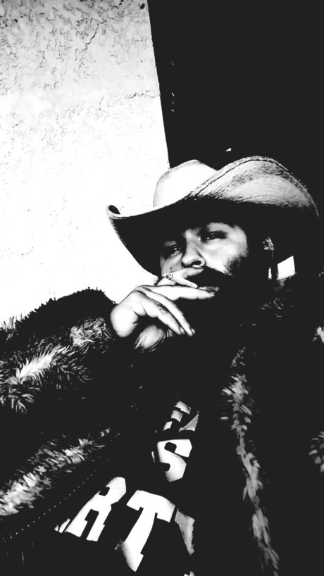 Wtf over art star gallery