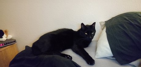 Outsdr beautiful star galleries