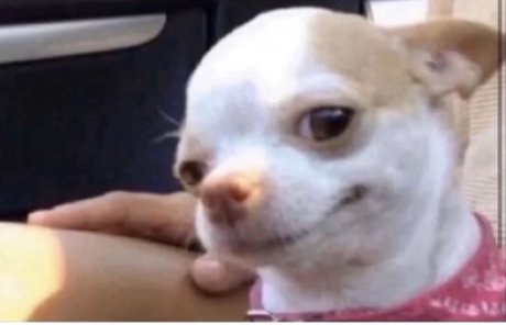 Orrion sex pornstar images